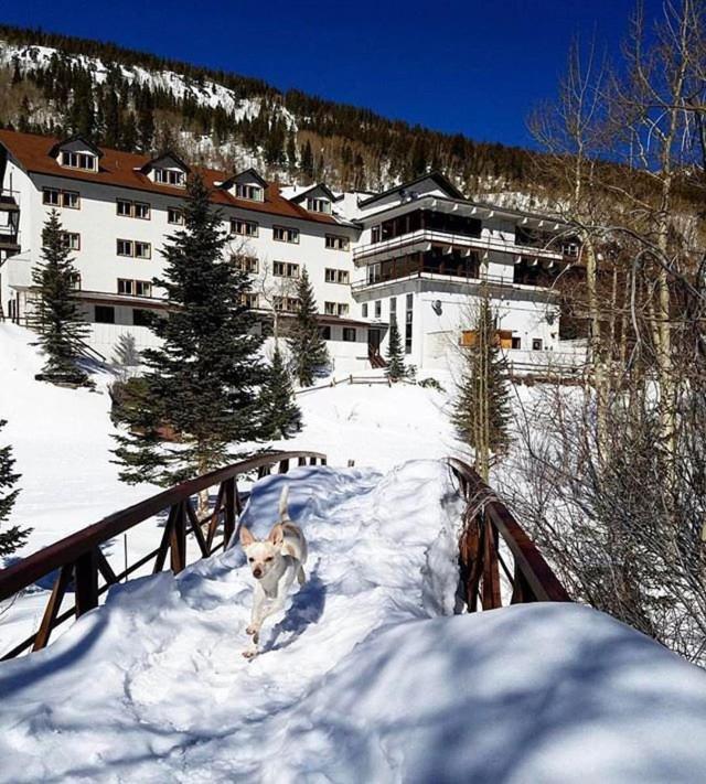 Monarch Mountain Lodge Екстериор снимка